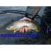 Подсак Daiwa Prorex Wading Net
